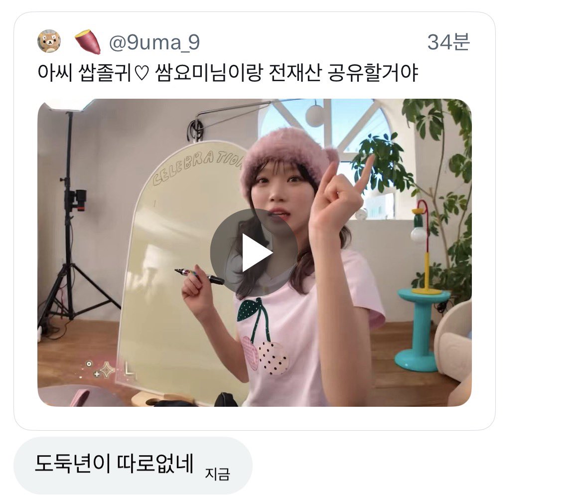 🍠 tweet media