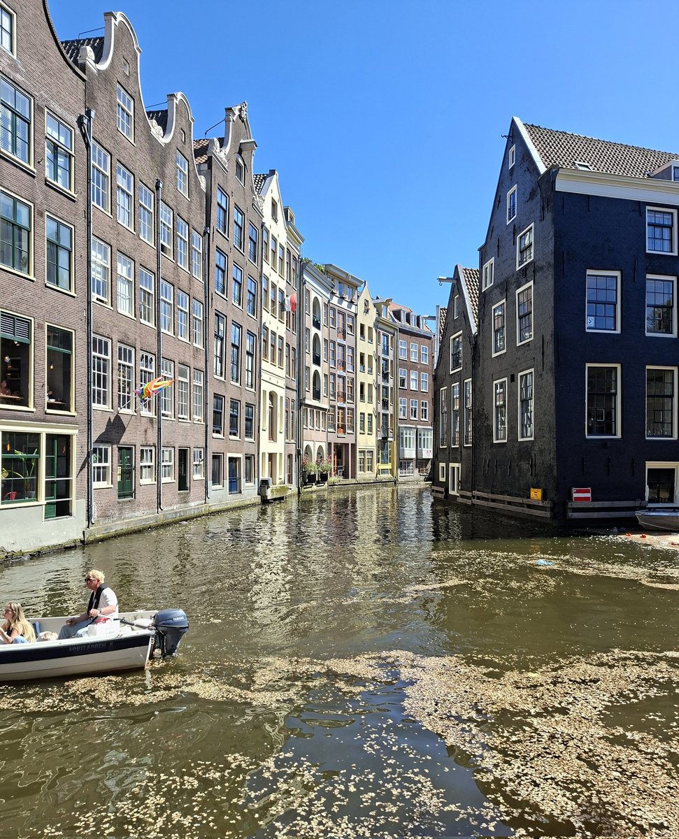 mark_mijdus's tweet image. Op sommige plekjes lijkt het net alsof het heel rustig is in #Amsterdam.