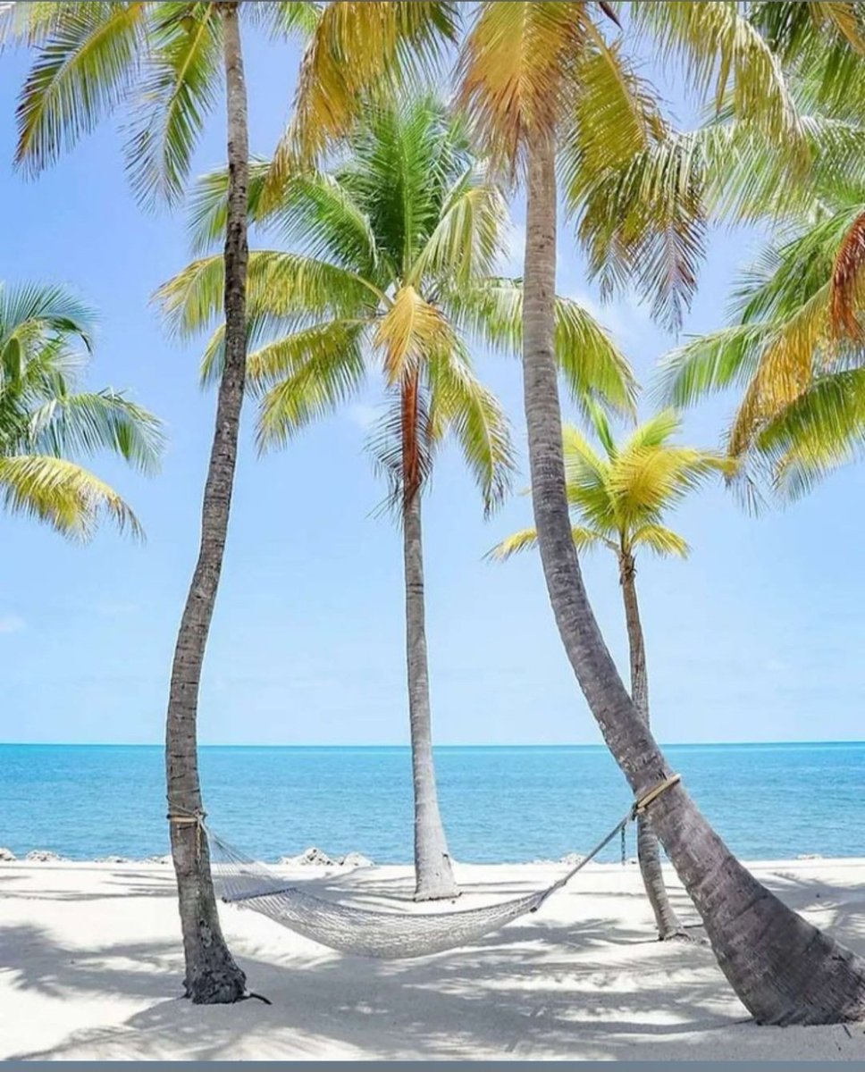 Captain1067628's tweet image. #kayak #MAYmomentintime #marathonkey #florida