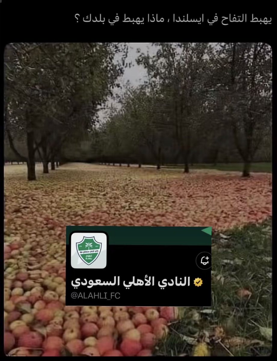 َ tweet media