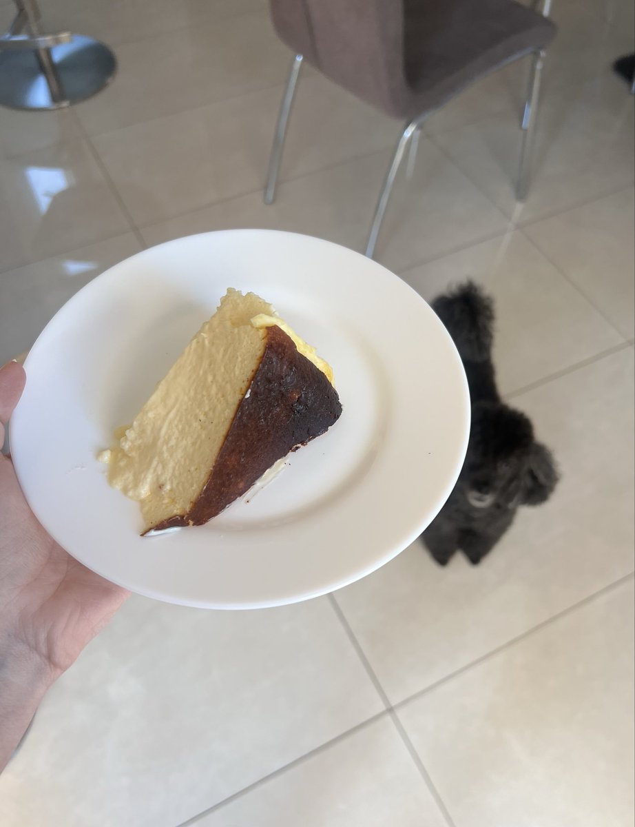 conne2405's tweet image. Well, I did end up making a Basque cheesecake in the middle of the night it turned out amazing. And yes, my dog is clearly devastated and probably plotting revenge since he didn’t get a single bite. #basquecheesecake #doglife #foodie