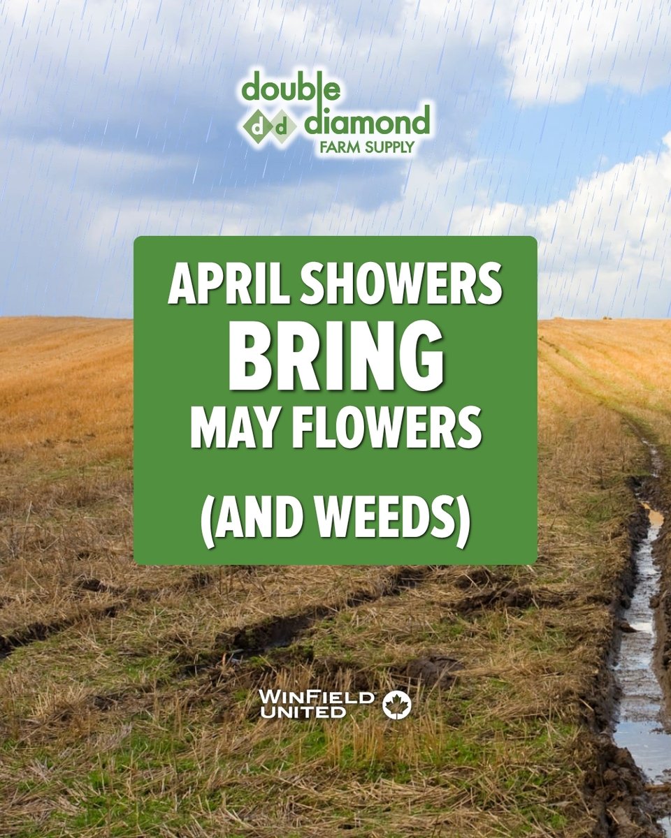 DoubleDiamondAg's tweet photo. Early-season weeds come in fast and compete early. How your spray performs can make or break your start.

LockTech® adjuvants from WinField® United help manage drift, improve deposition, and get your spray droplets into the weed.

Ask your local Double Diamond to learn more. https://t.co/8aZlhjv2vy
