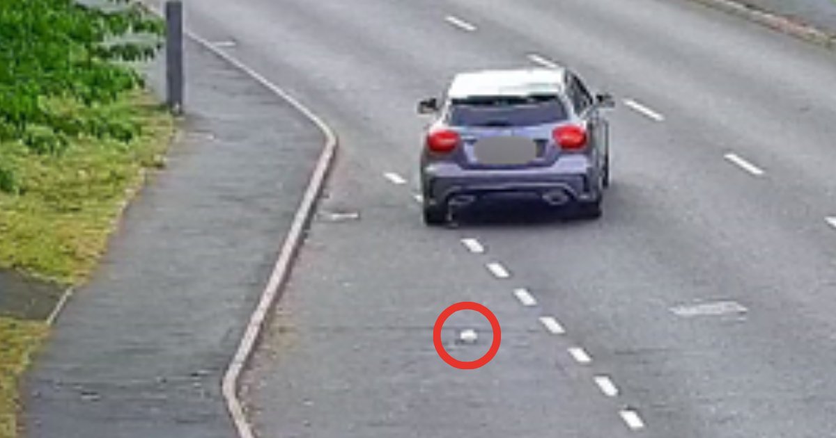 WalsallBins's tweet photo. 🚨#FINED: Miss Sade Annick Woolery pleaded guilty to littering on Reedswood Way.
The outcome: £141 in fines and costs. 💸
A smaller fine — but still avoidable. Put your rubbish in the bin. 🚯
#Named and #Shamed https://t.co/Jmx9FvokQC