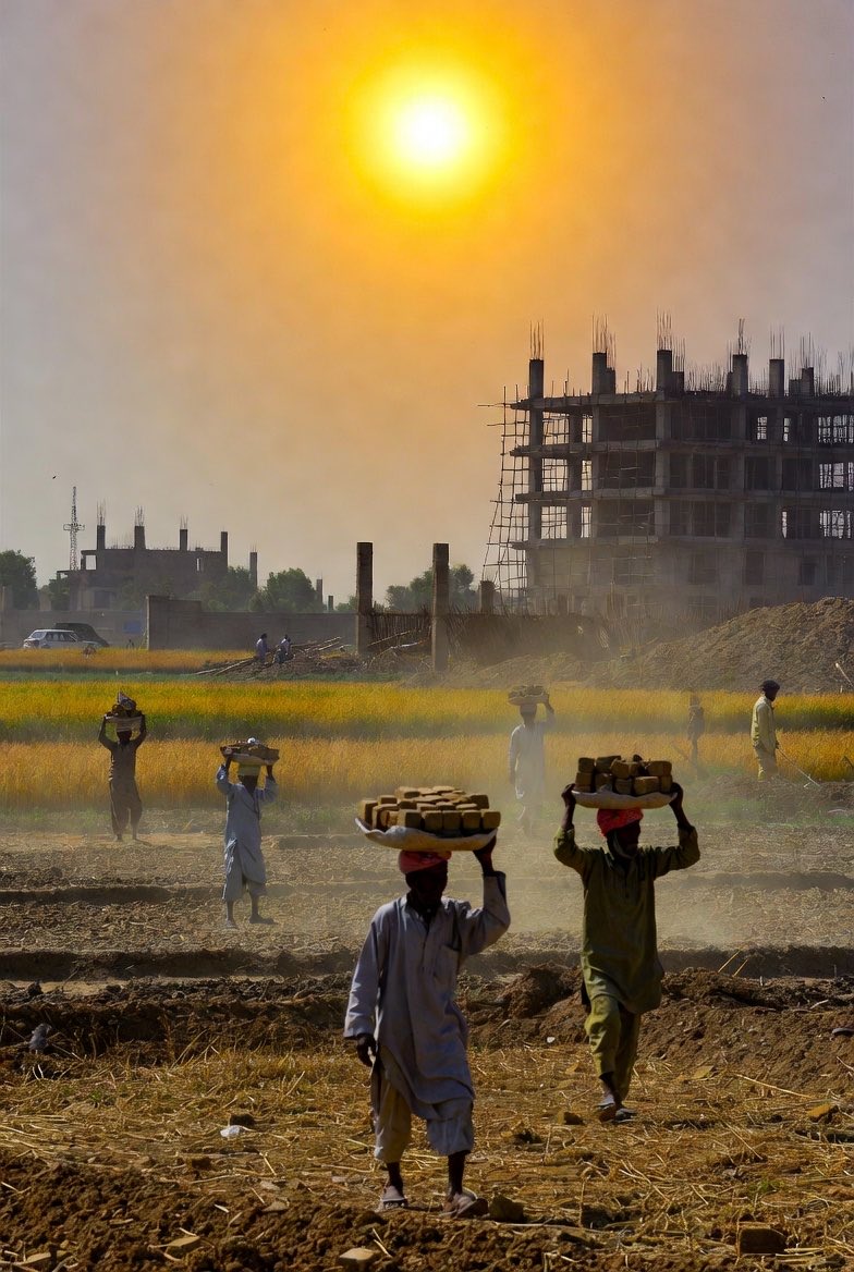 EmpakStrategies's tweet photo. On #LabourDay, we celebrate workers’ rights—while the #climate crisis hits them hardest: deadly #heat for outdoor laborers, #floods destroying livelihoods & #pollution poisoning communities.
A Just Transition to #green jobs with fair wages, #retraining & workers #rights is the way forward. 
Together for people & planet! 🌍💪
#ClimateJustice #JustTransition #MayDay
@GulminaBilal @NAVTTCOfficial