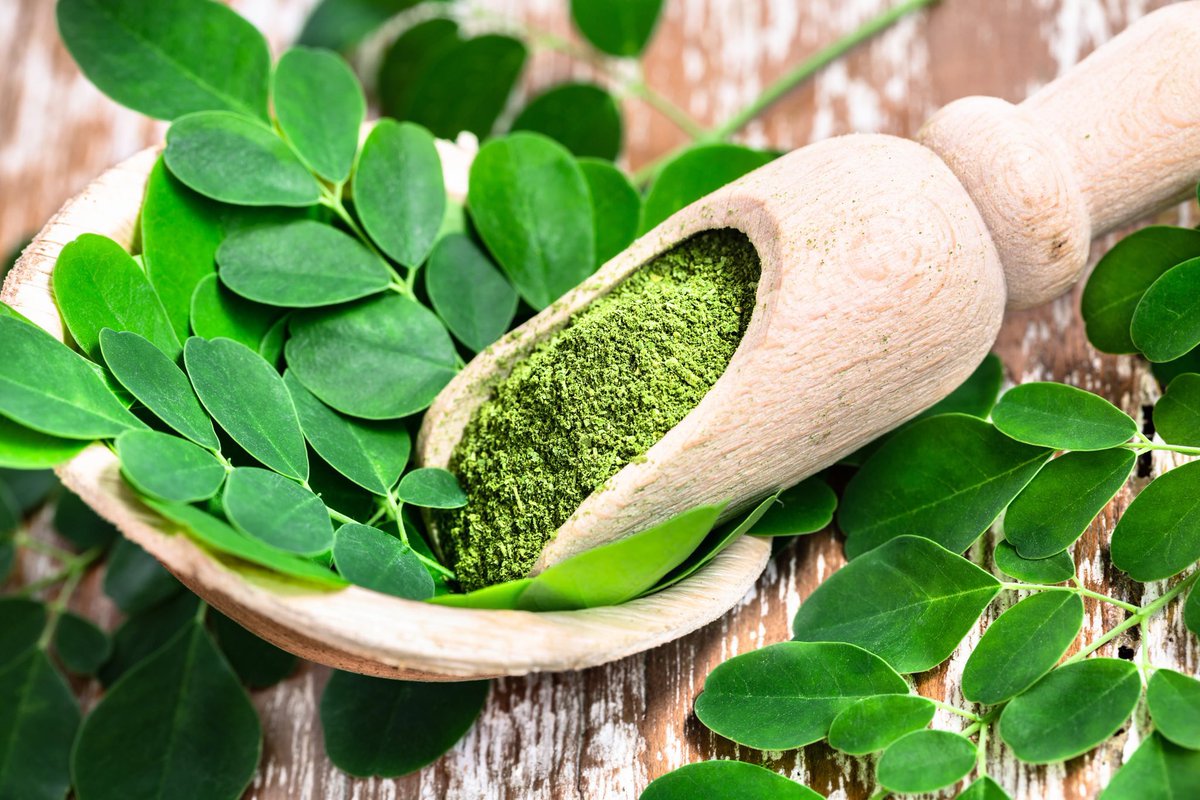 Your Herbal Stroke Specialist tweet media