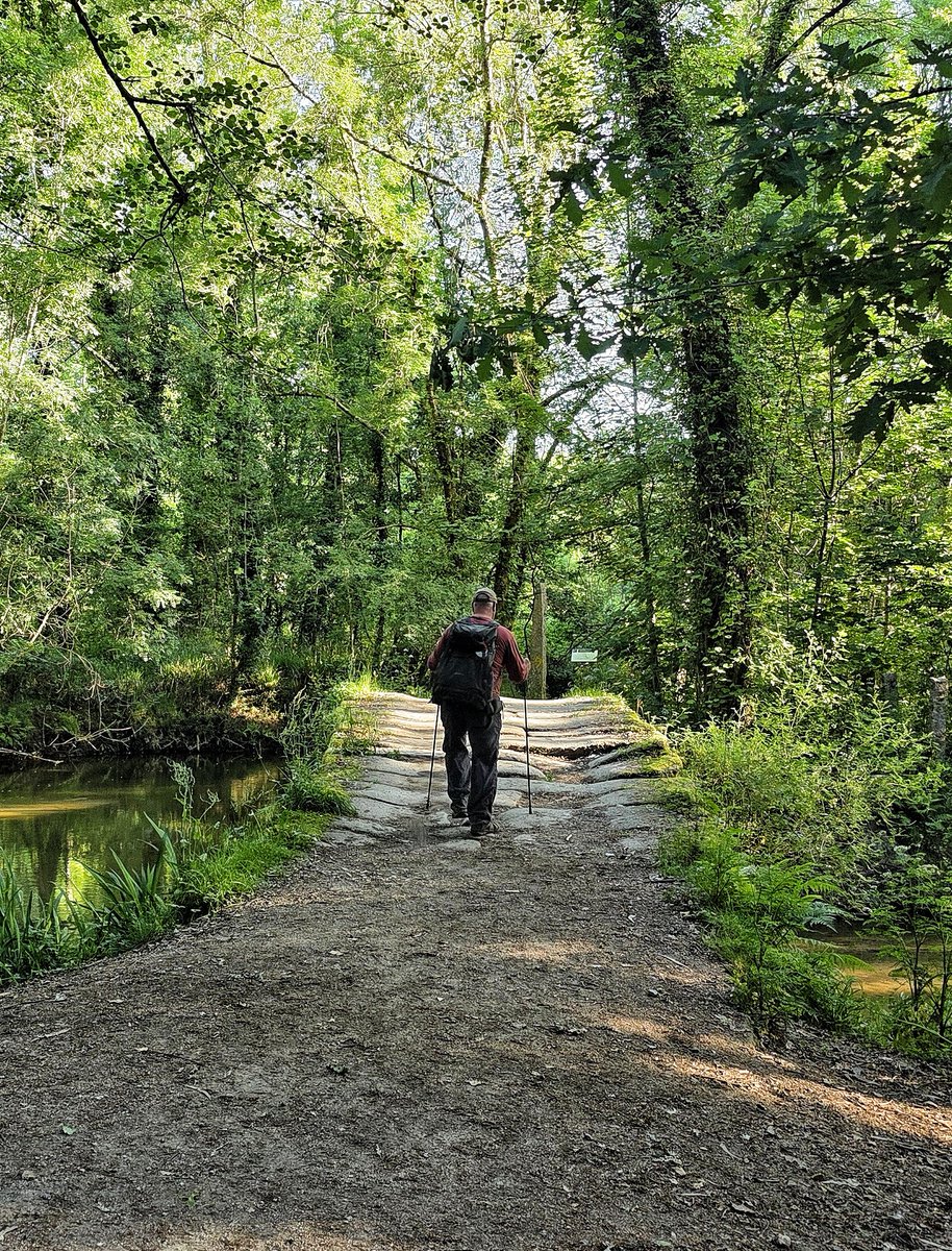 Sydenham007's tweet photo. #caminoportuges following the Littoral, Coastal, Central and Espiritual routes to SdC

#caminodesantiago https://t.co/PS1v8tvEDE