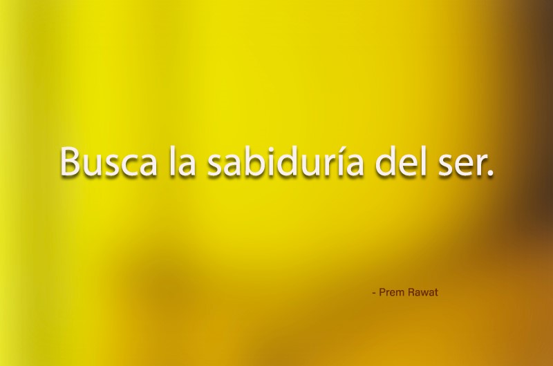 Gerardo Rodriguez N tweet media