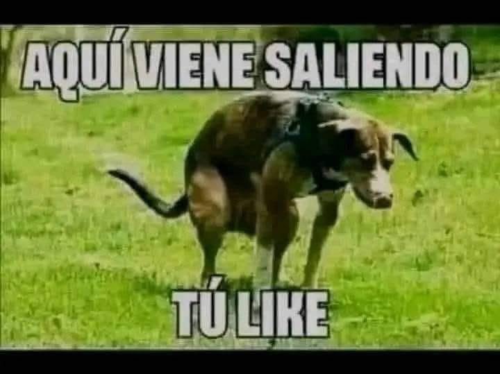 Manuel tweet media