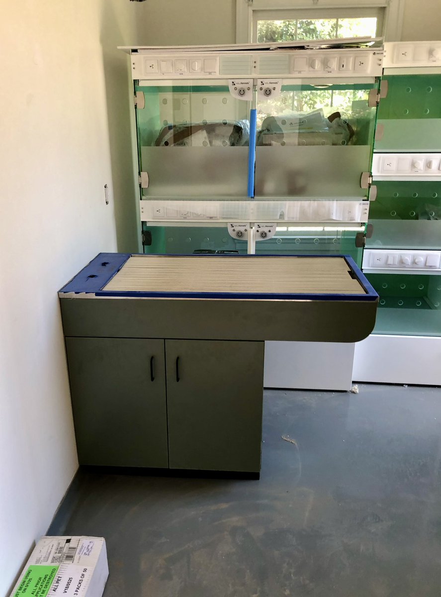 lionworksdesign's tweet image. @lionworksdesigns shared the dog ICU area at the veterinary clinic, now it’s time for the cat ward. #custommillwork #millwork #lionworksdesigns #design #veterinaryclinic 🐈