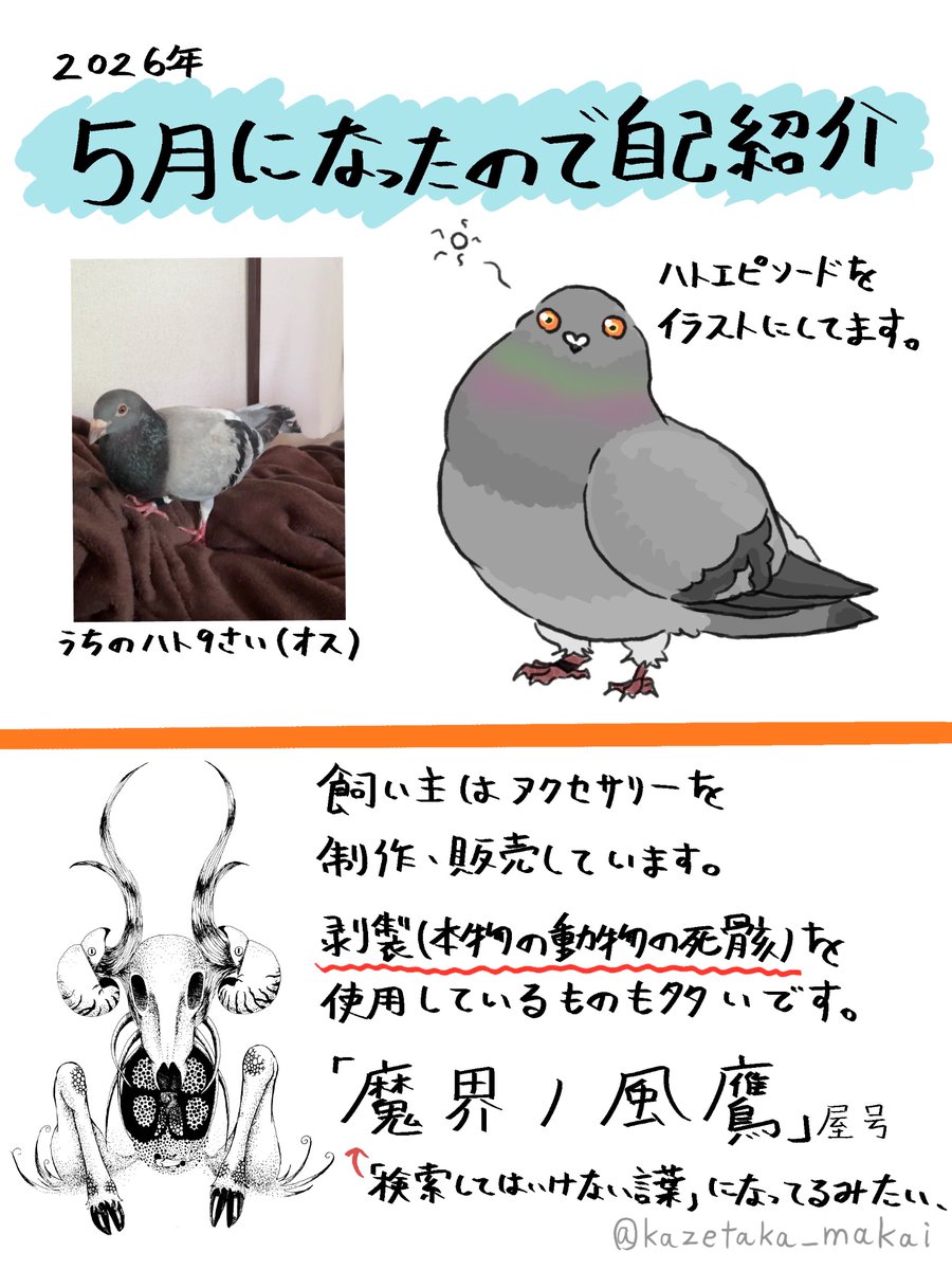 風鷹(かぜたか) tweet media