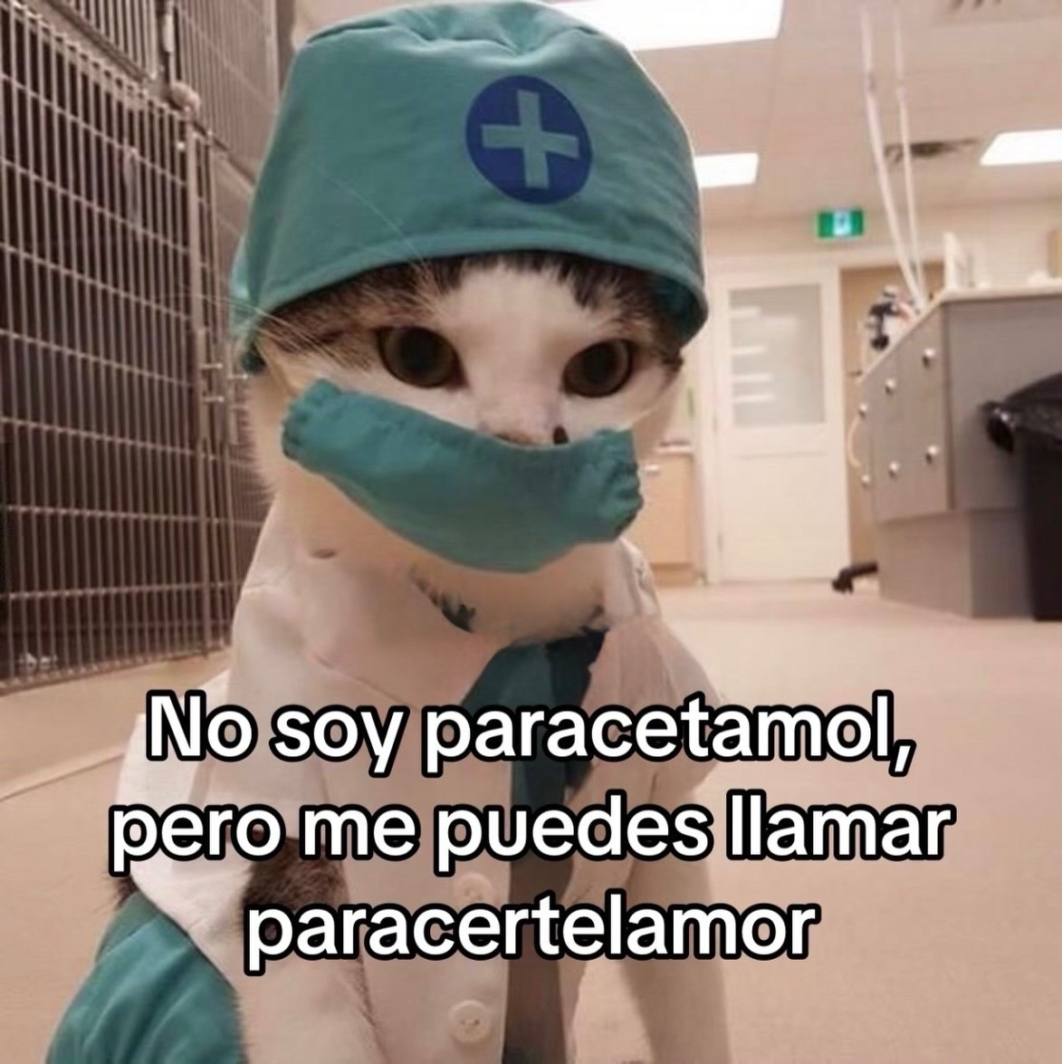Mundo de Bigotes tweet media