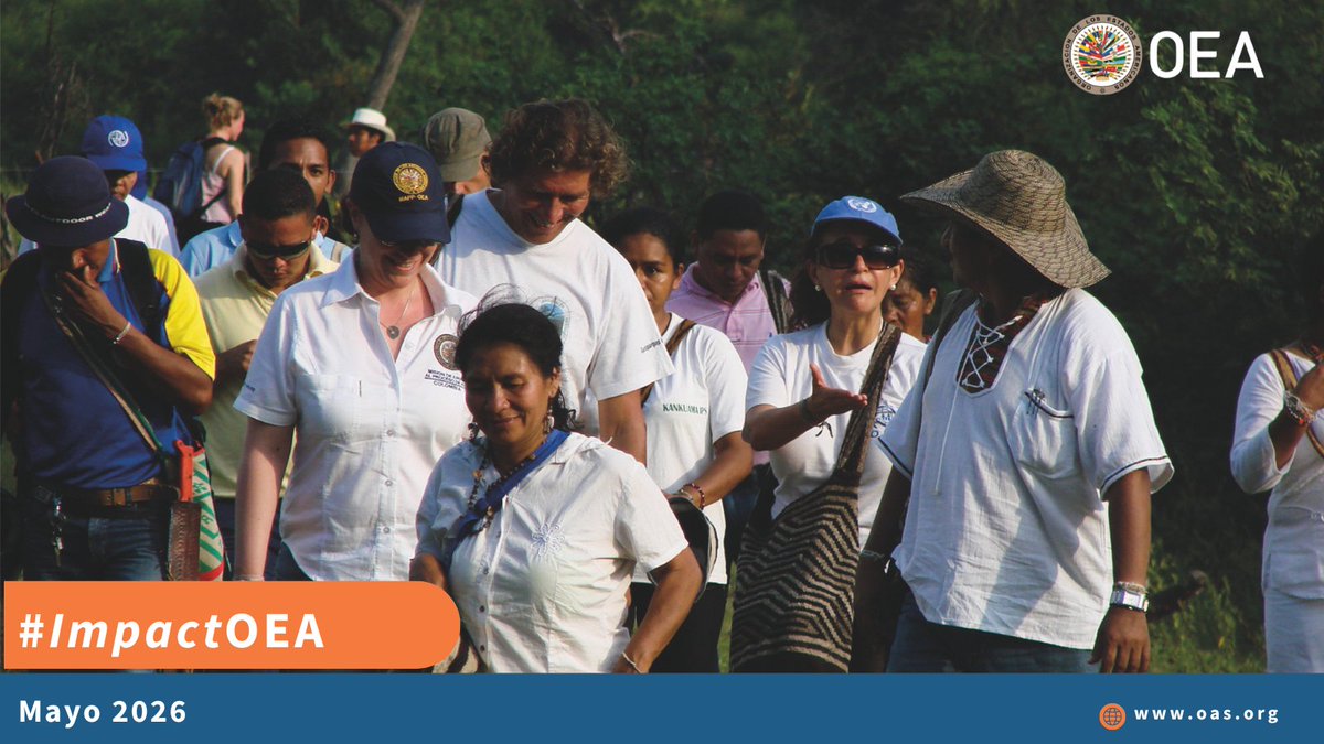 OEA tweet media