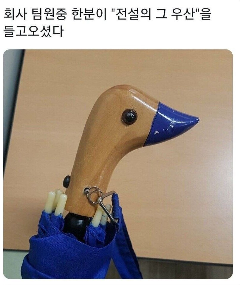 이거 아는 분들 올해 안으로 대장내시경 받으셔야 함
