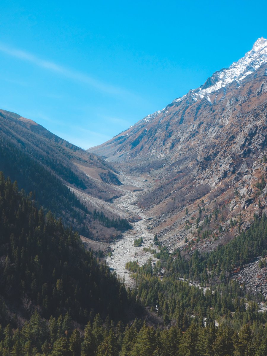 ĀryāSāiv (𑚤𑚭𑚍𑚦) 🏔️ tweet media