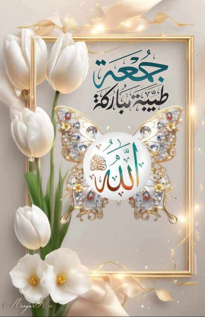 اربعيني sayf aleiraqii tweet media