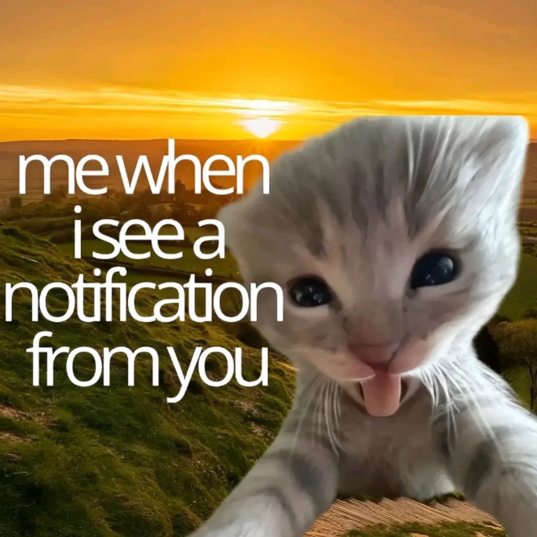 ♡ tweet media