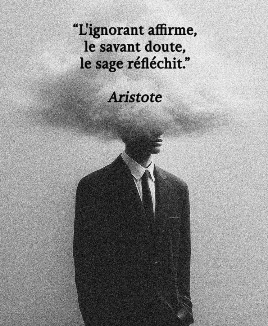 csibon27's tweet image. 🥰😇
L'ignorant affirme, le savant doute, le sage réfléchit.