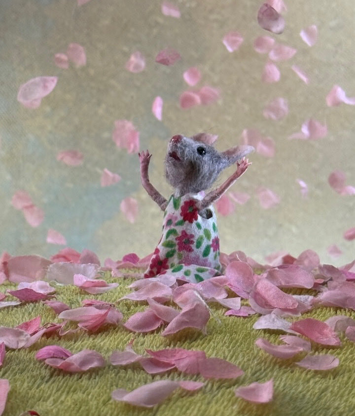 Cherry blossoms