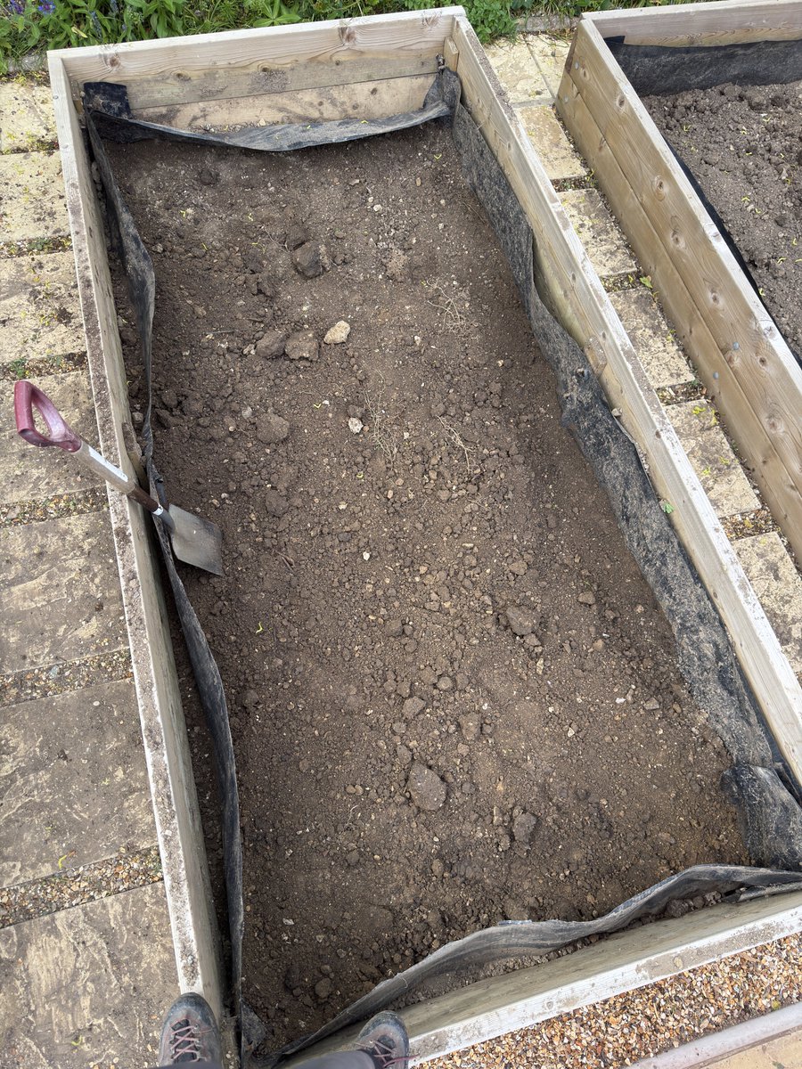 metamacky's tweet image. man’s not cold. #digging