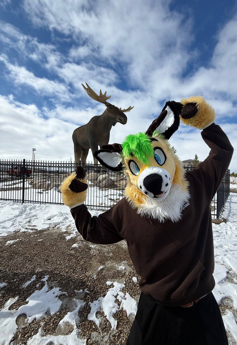 Electric Buck tweet media