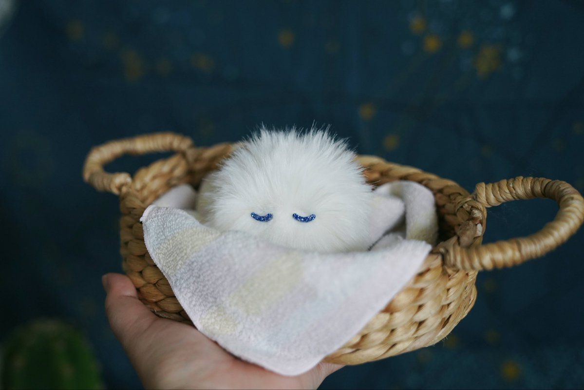 けさぱさふれんず☁️ tweet media