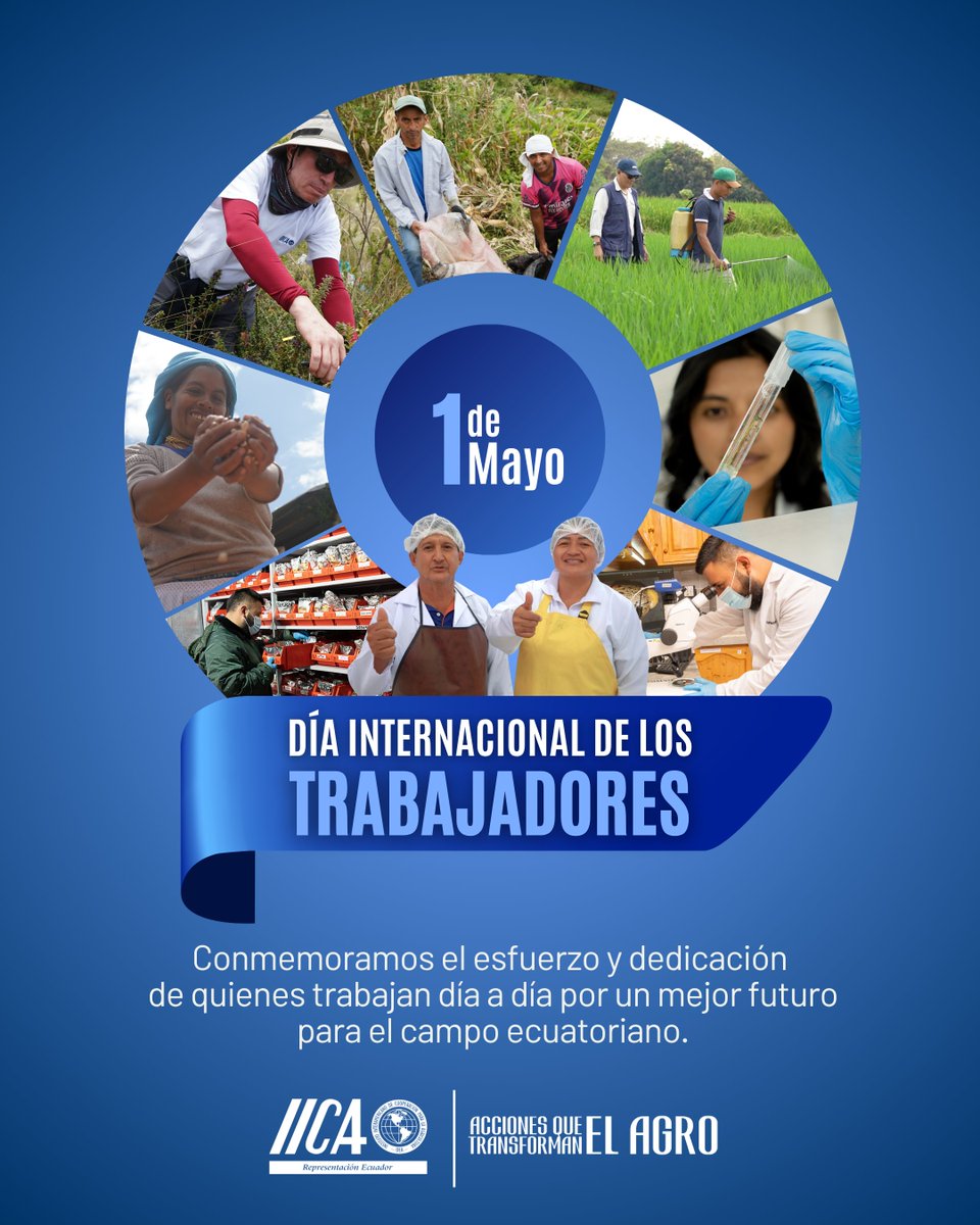 IICAEcuador's tweet photo. Hoy reconocemos a quienes con su esfuerzo diario construyen el presente y el futuro del Ecuador.
El trabajo conjunto impulsa la innovación, la seguridad alimentaria y transforma vidas.
Juntos avanzaremos por un futuro más justo e inclusivo. 
#DíaDelTrabajador #1DeMayo https://t.co/aq14LudDYf