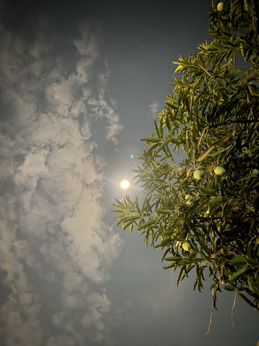 Nathanojyo's tweet image. info mmpung longweekend hehe 

#semarang #jogja
