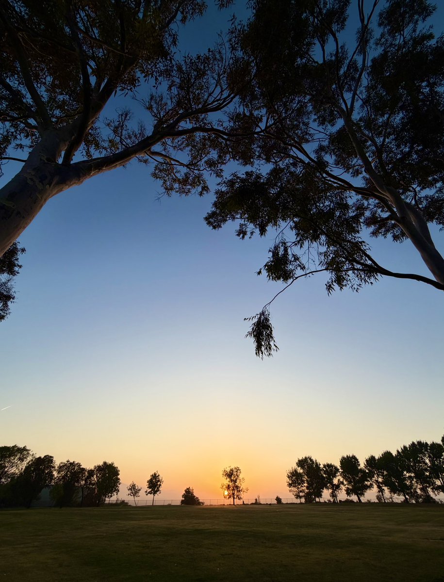 mlzema's tweet image. Good Morning From #SoCal! 
#FridayMorning #Sunrise #Sun #Sky #SkyPhotography #Spring #May #MayDay #FridayMotivation #TGIF