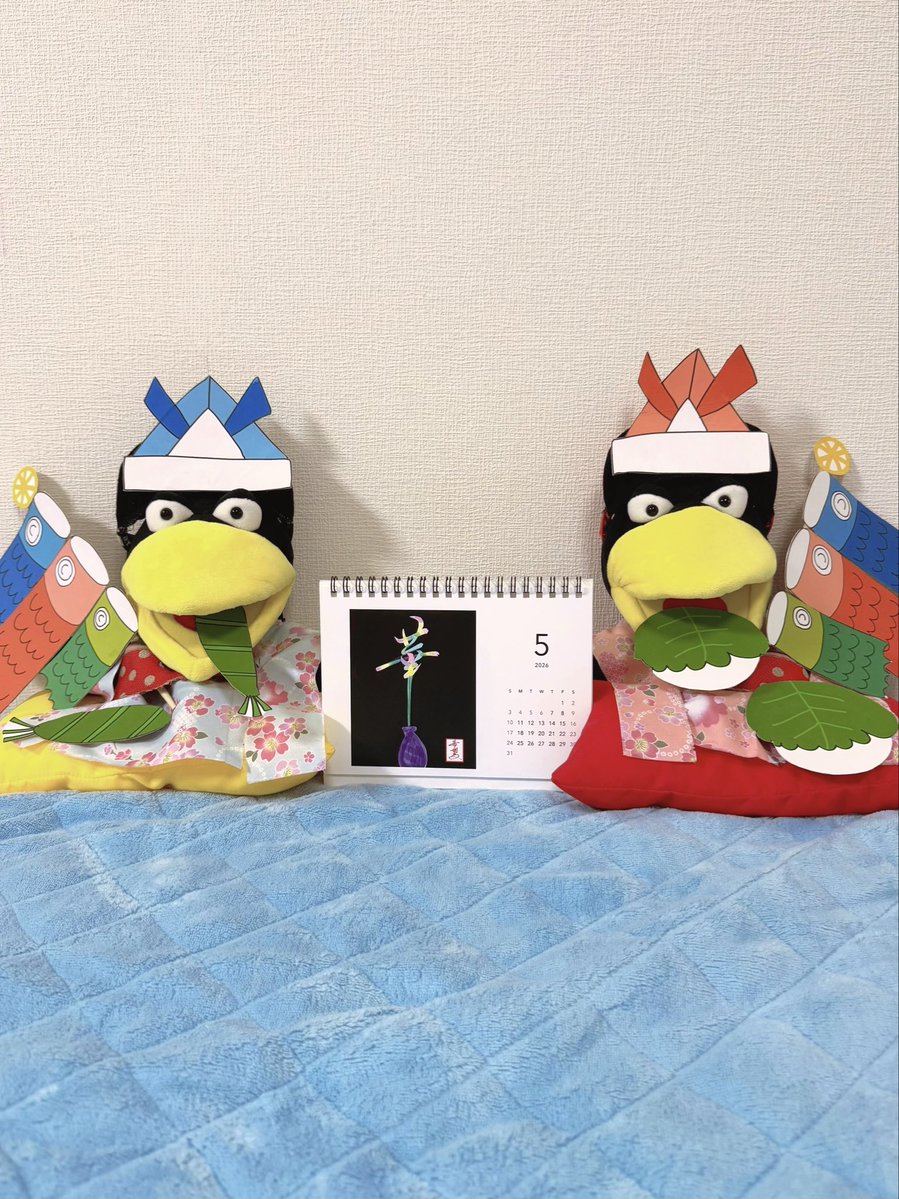 星野希望【nono】 tweet media