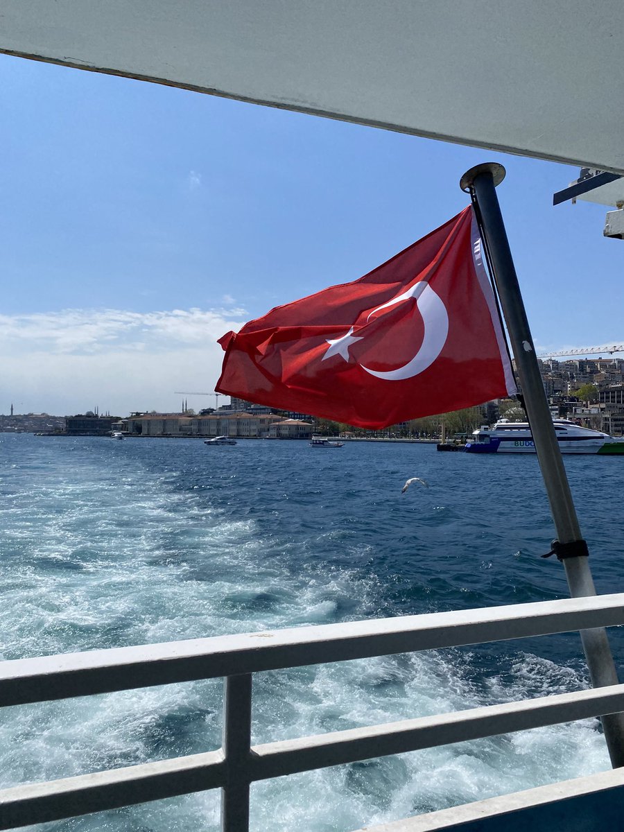 zeynep 🌻 tweet media
