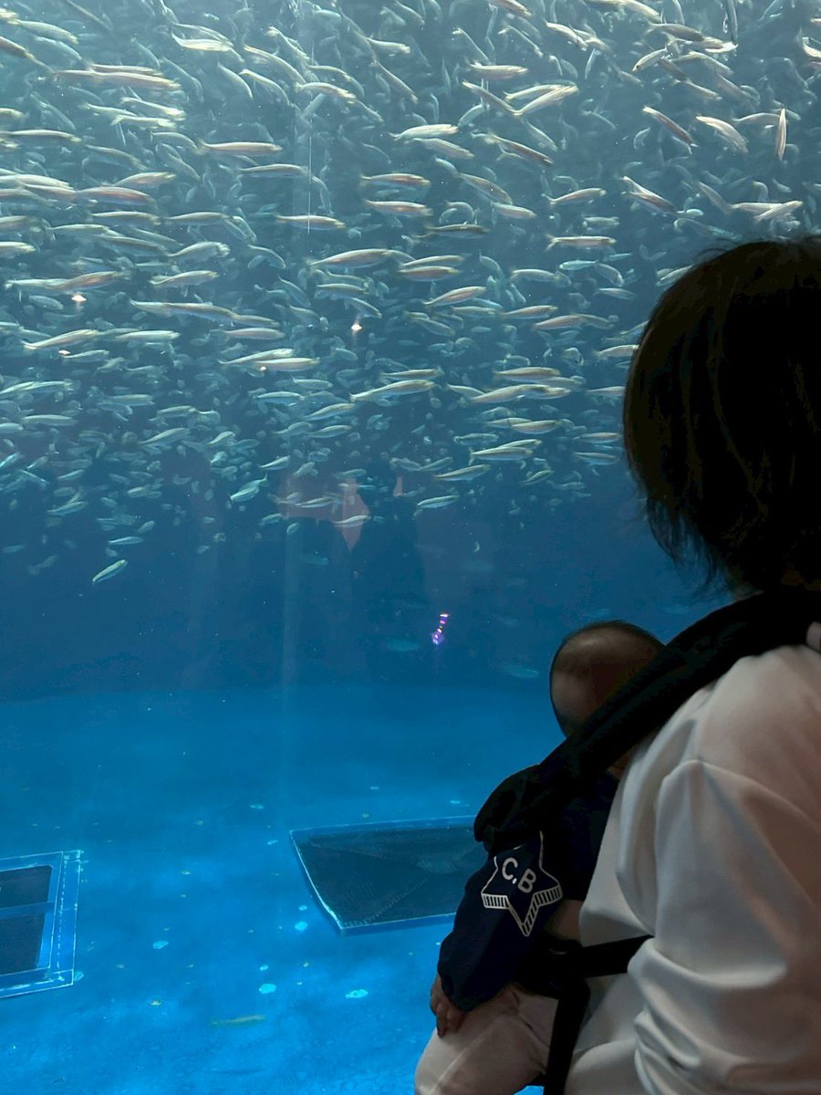 お坊ちゃん初めての水族館🐟

喜びもせず泣きもせずww

でもいいの！なにかしらの刺激は与えてやれたから！