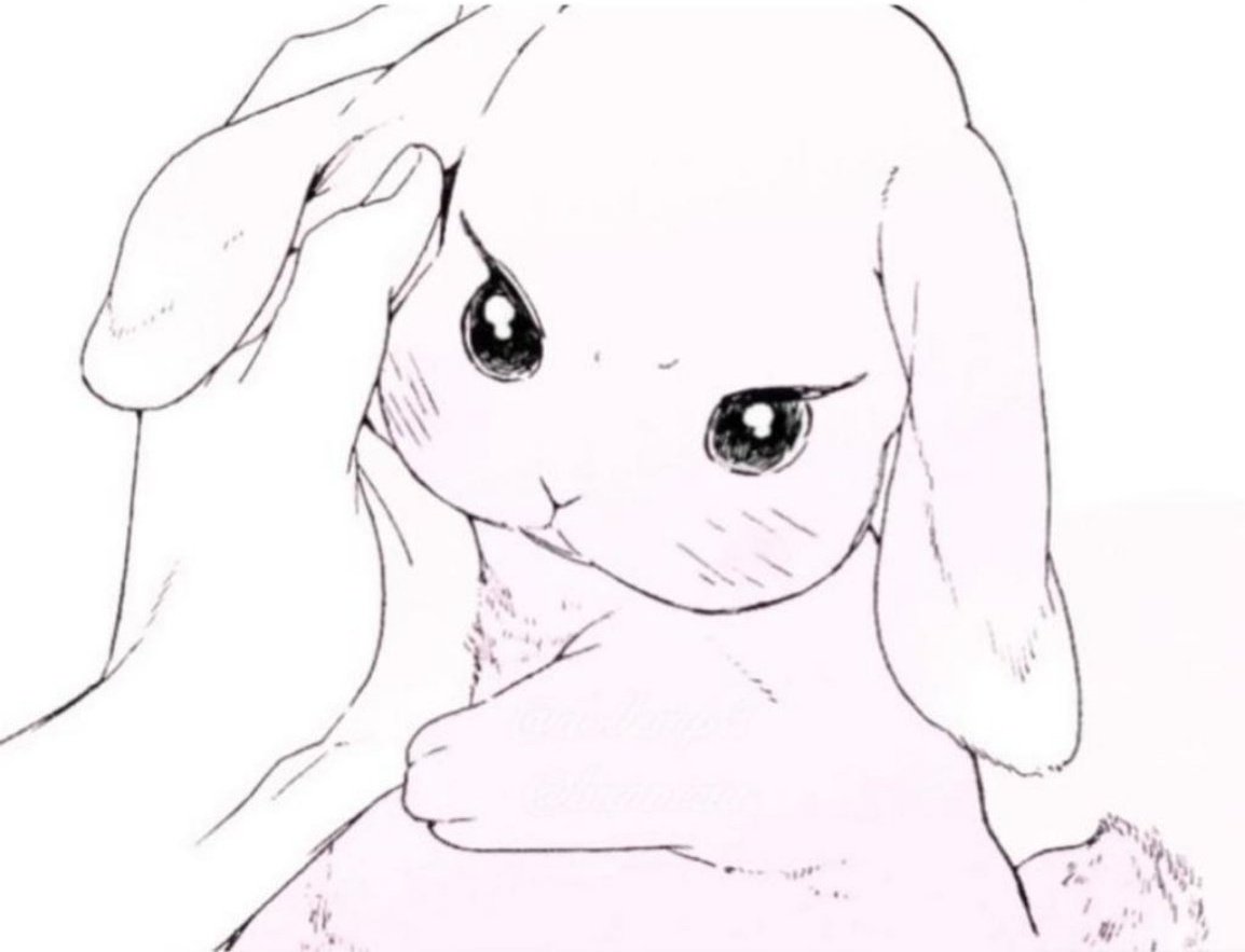 𝐬𝐭𝐞𝐯𝐢𝐞 tweet media