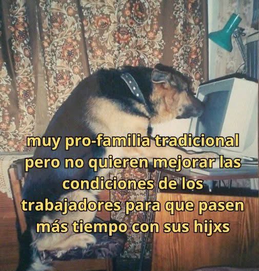 Moises tweet media