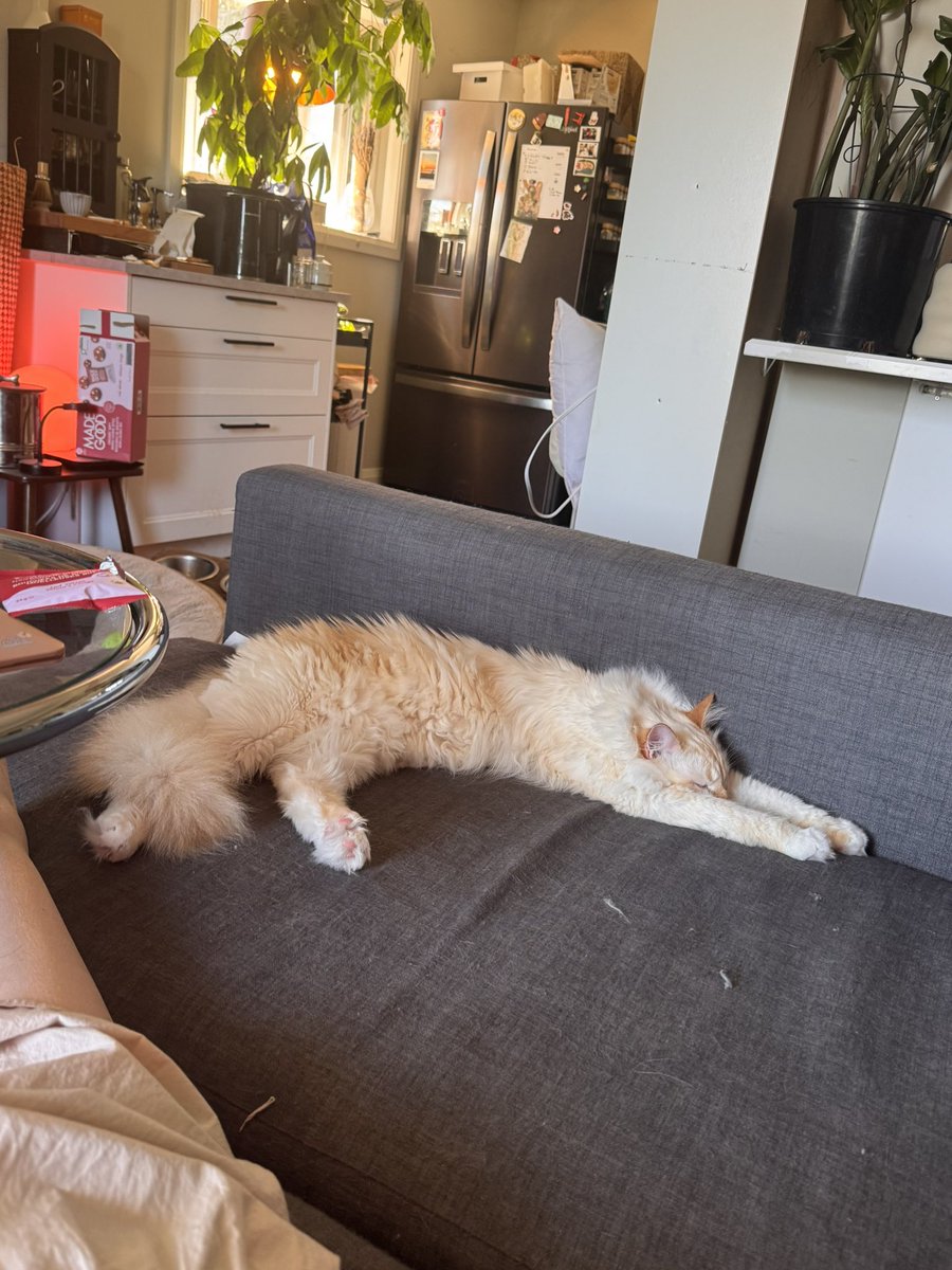 misplacedcow's tweet photo. mochi compilation https://t.co/CCfwDh0xgC