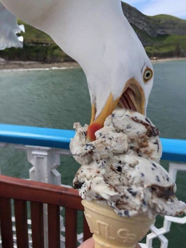 Medical Hashira🩺 tweet media