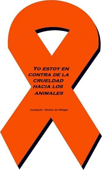Dama_DeLobos's tweet image. #SoyLazoNaranja 🧡🧡 escoge tu foto si apoyas el movimiento,
Queremos que de una vez los #Ayuntamientos de #España no les den la espalda a los gatos ferales,las gestoras gastamos nuestro propio dinero y esfuerzos por lo menos digan stop maltrato,muy adoloridos de verlos sufrir