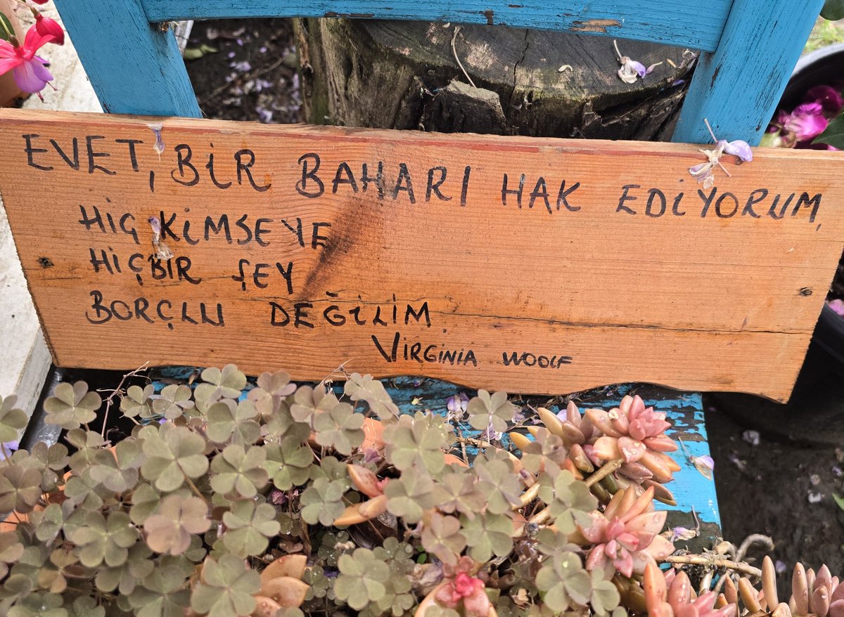 Aliiiii tweet media