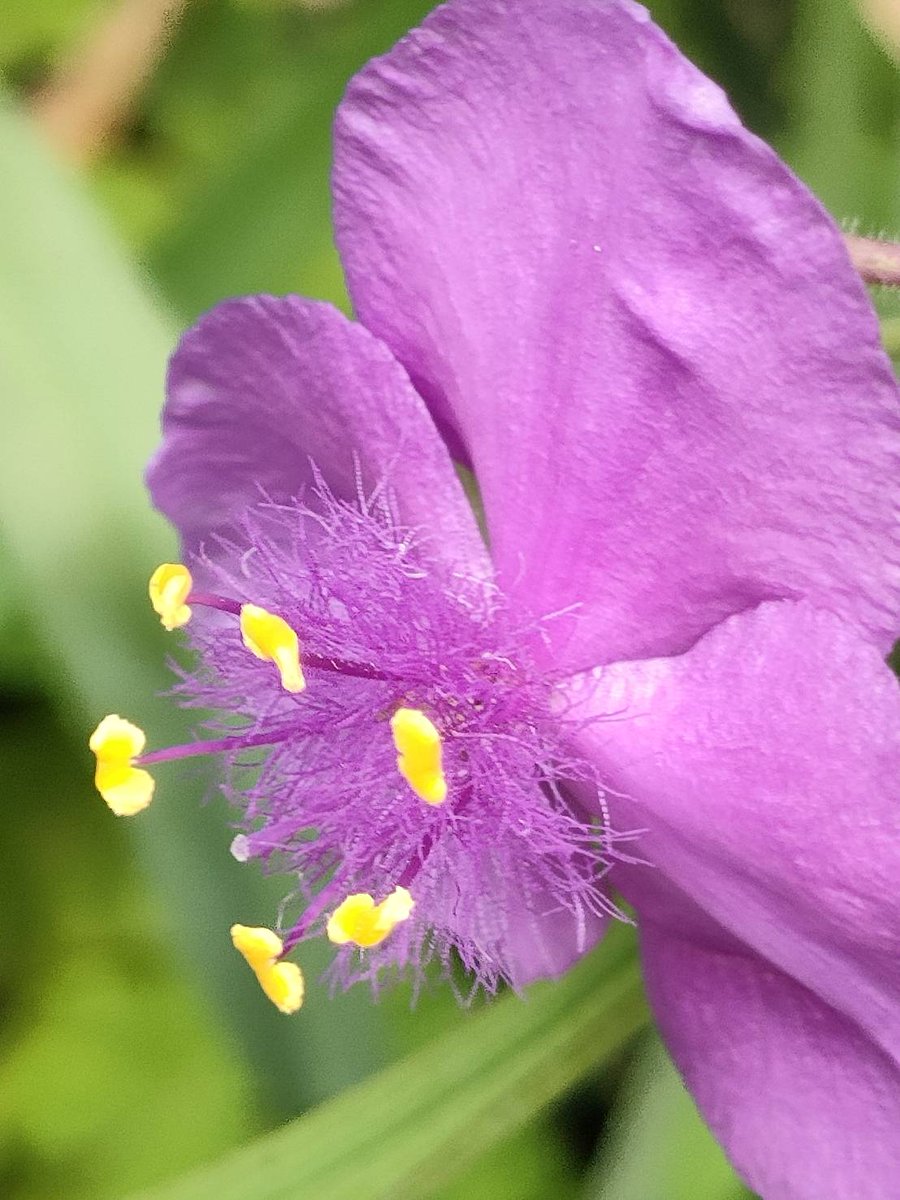 斉藤修TEN92METAL tweet media