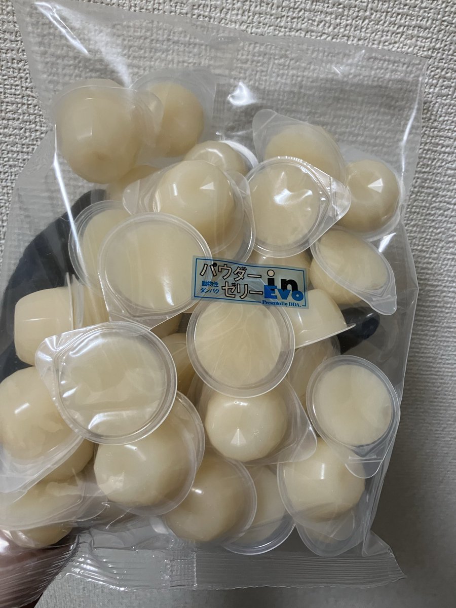 Keihin Dorcus Laboratory tweet media