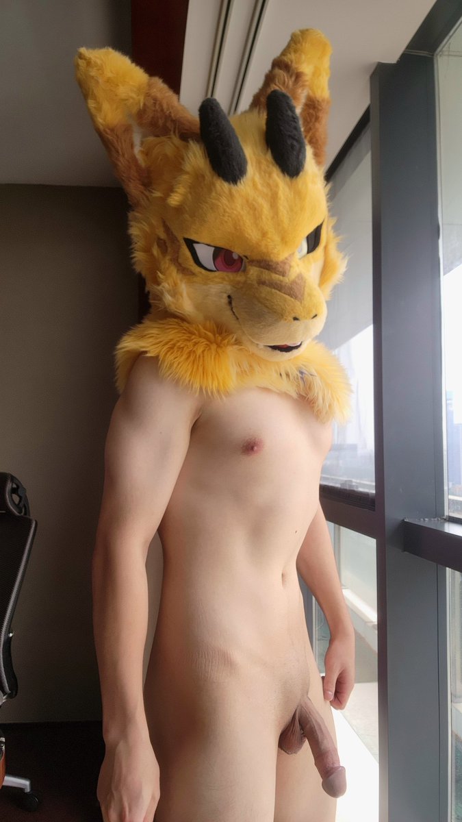 hogg 🔜 2026 Hi Furry , UTFG ,OFFF tweet media