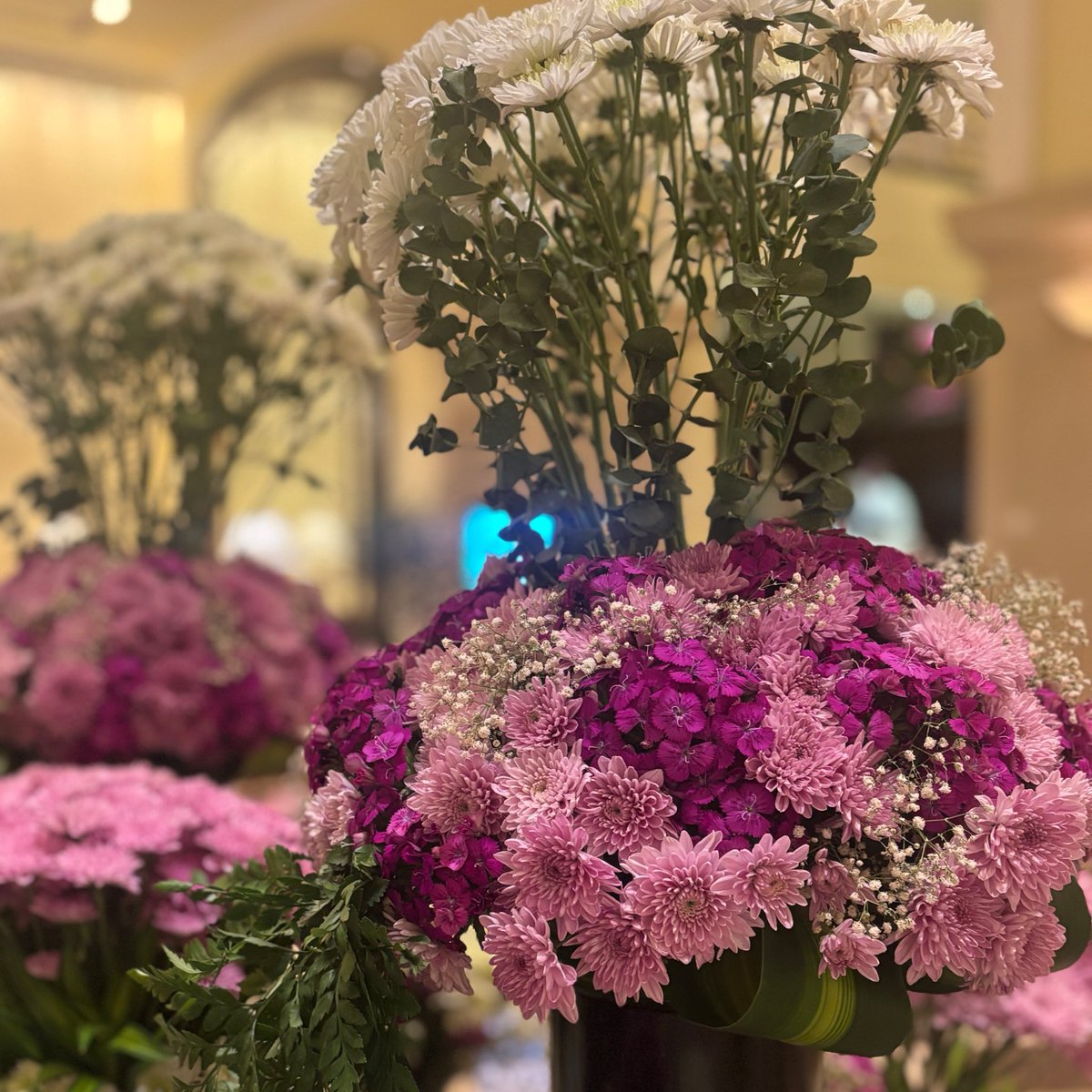 saurin_jhaveri's tweet image. #Flower #IndoorDecor