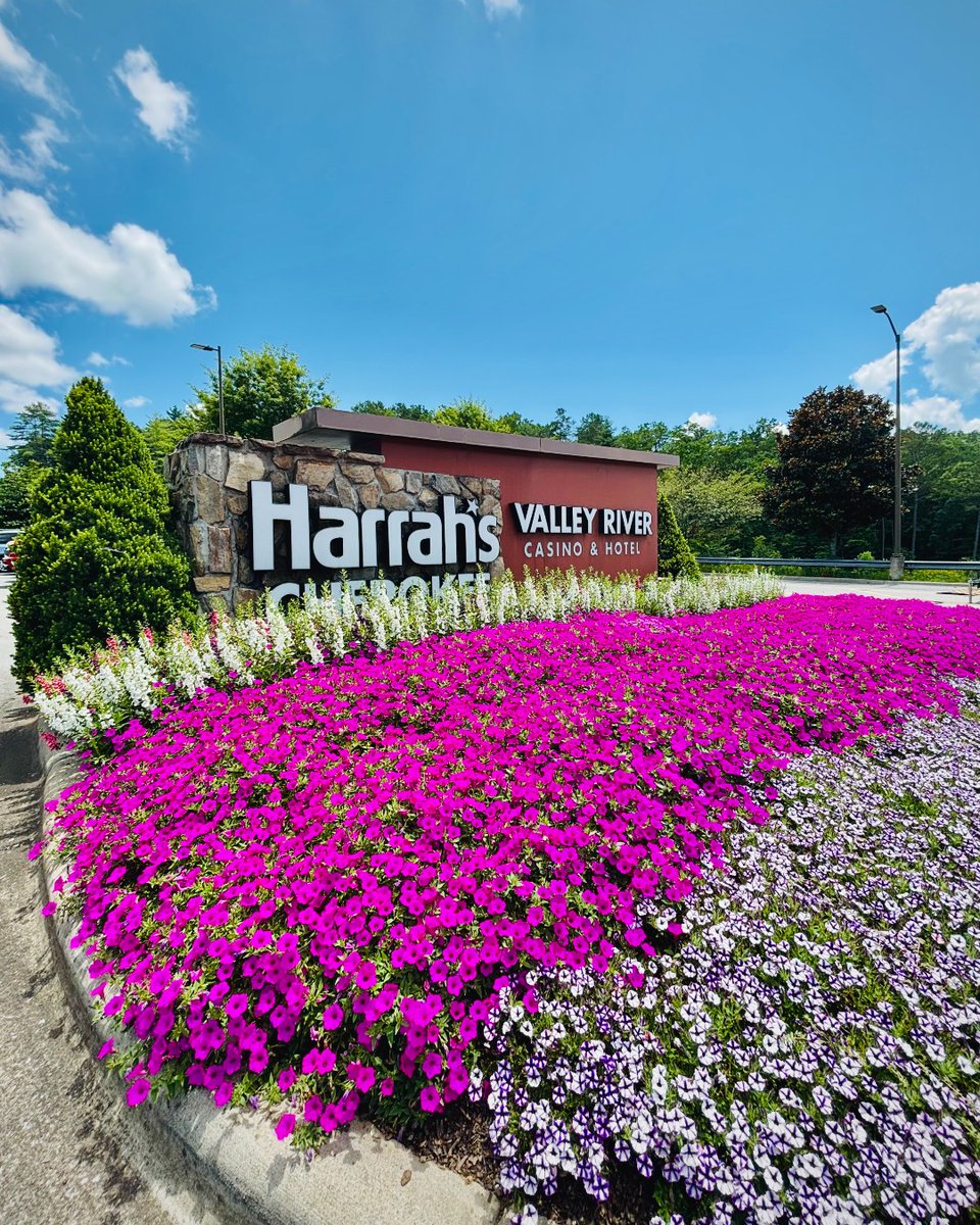 HarrahsValleyRiver tweet media