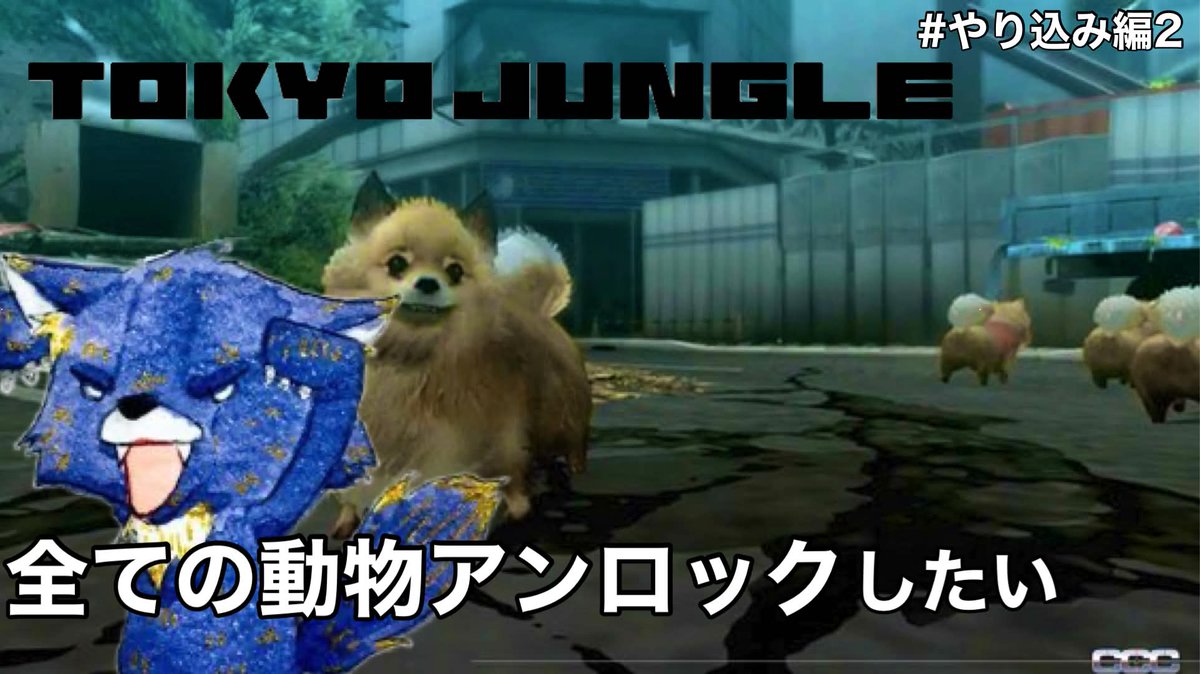 _foolwolf's tweet image. 配信！
少し！
【TOKYO JUNGLE】全ての動物アンロックする、バカゲーだけど俺的神ゲー【トウキョウジャングル】【フウト】# やり込み編2 youtube.com/live/8B8pr6RhL… 
#TOKYOJUNGLE #PS3 #ゲーム実況者さんと繋がりたい