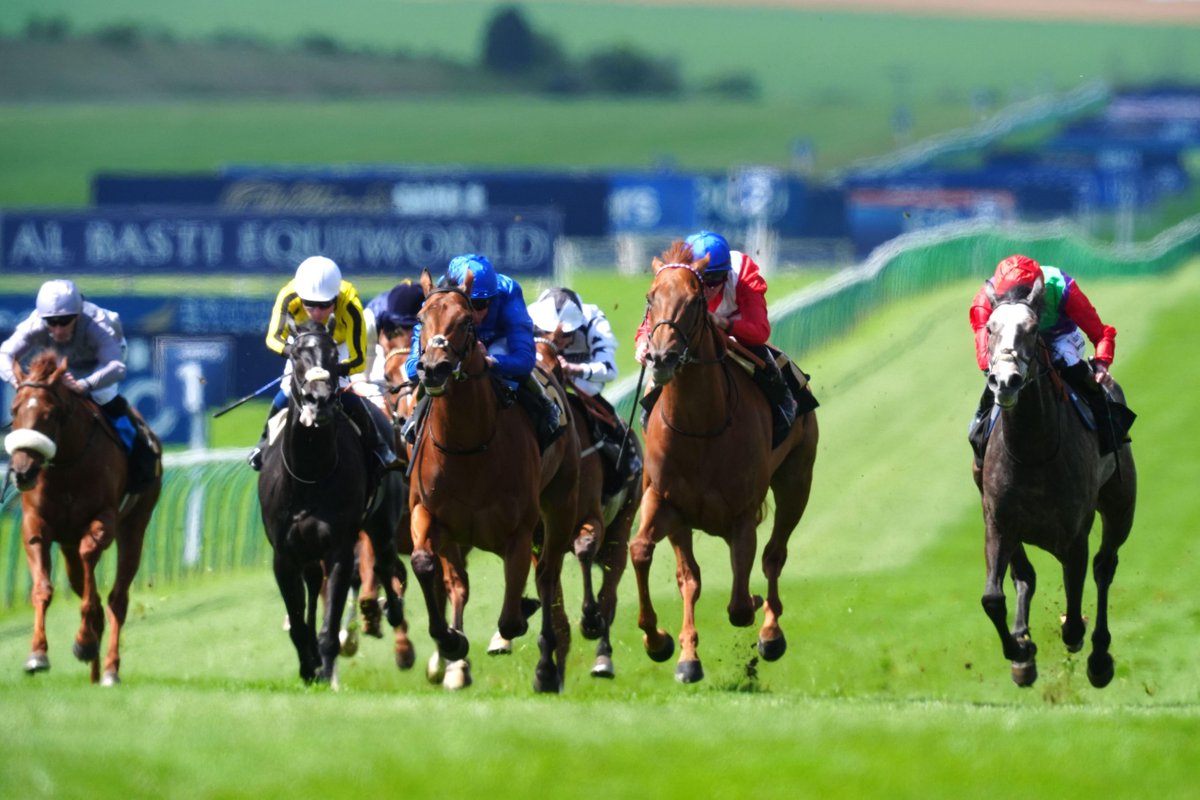 Cheltenham Tips tweet media
