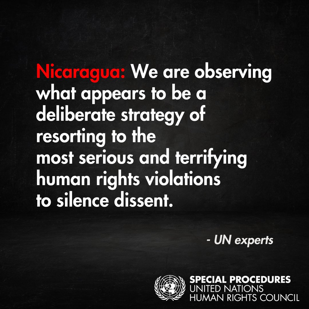 UN Special Procedures tweet media