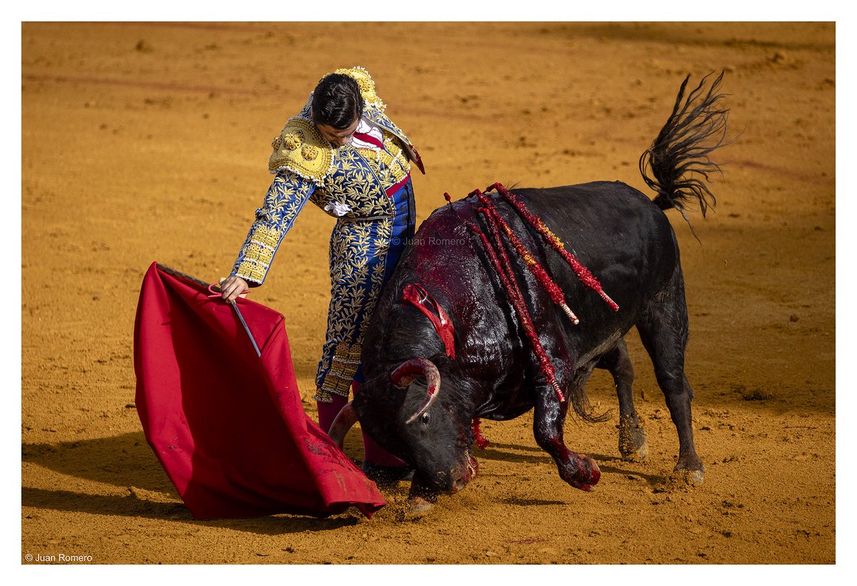 Juan Romero Prieto tweet media