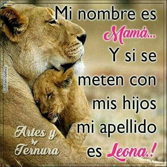 Miauchis tweet media