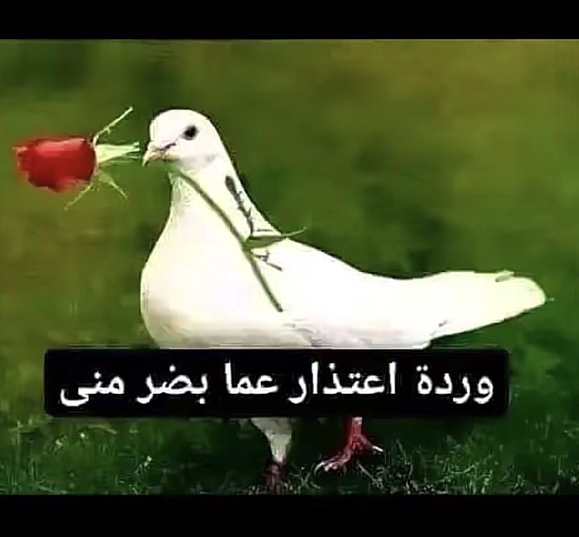 🪬 tweet media