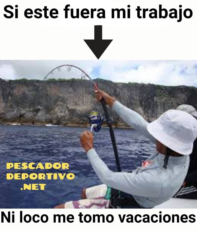 Pescador Deportivo tweet media