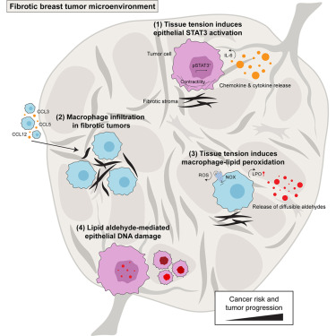 Cancer Cell tweet media